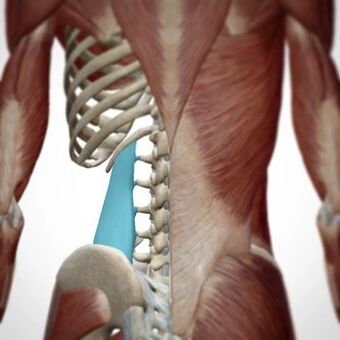 Il dolore può comparire in varie aree della schiena
