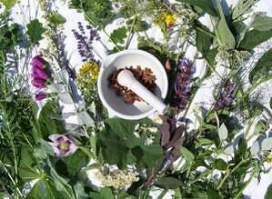 erbe per il trattamento dell'osteocondrosi